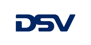 DSV logo