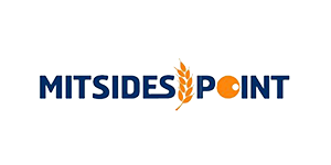 Mitsides point logo